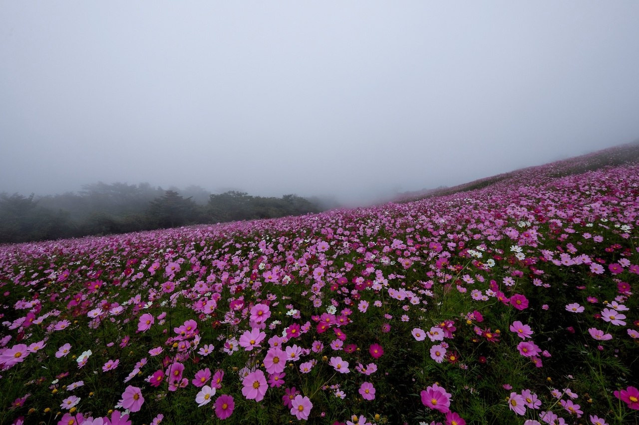 Читальный зал. Марина Рыбкина — Глубинная психология