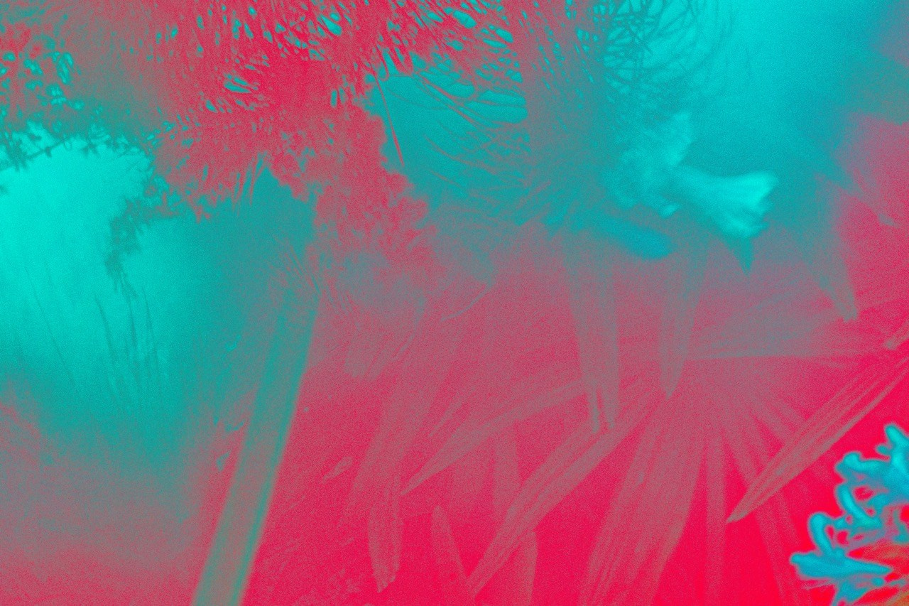 КРАСКИ. ОЛЬГА НЕФФ. Художник. Визуал, Музыка, Поэзия