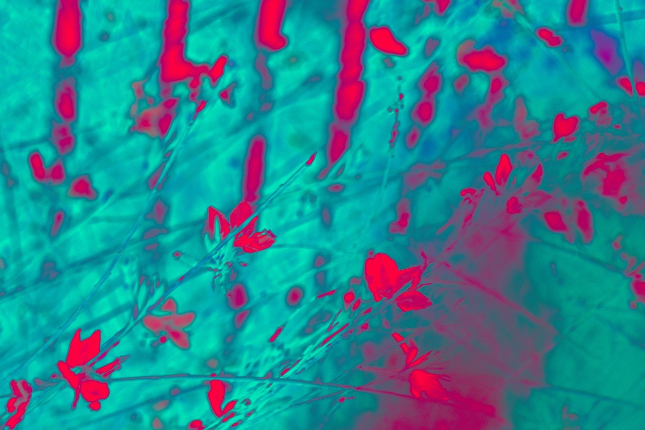 КРАСКИ. ОЛЬГА НЕФФ. Художник. Визуал, Музыка, Поэзия