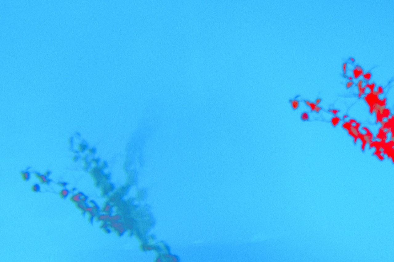 КРАСКИ. ОЛЬГА НЕФФ. Художник. Визуал, Музыка, Поэзия