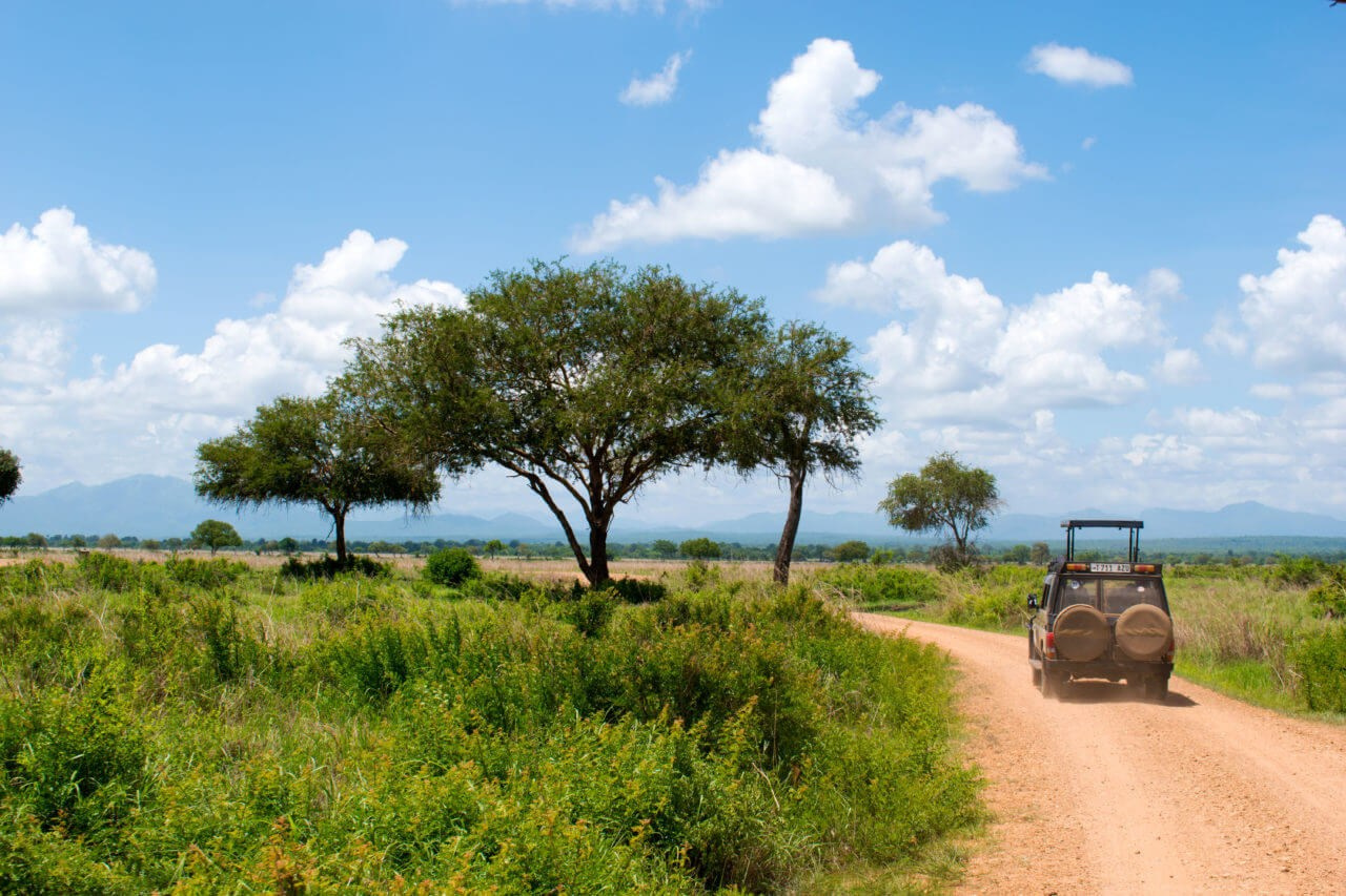 Африка. Туры по России и миру