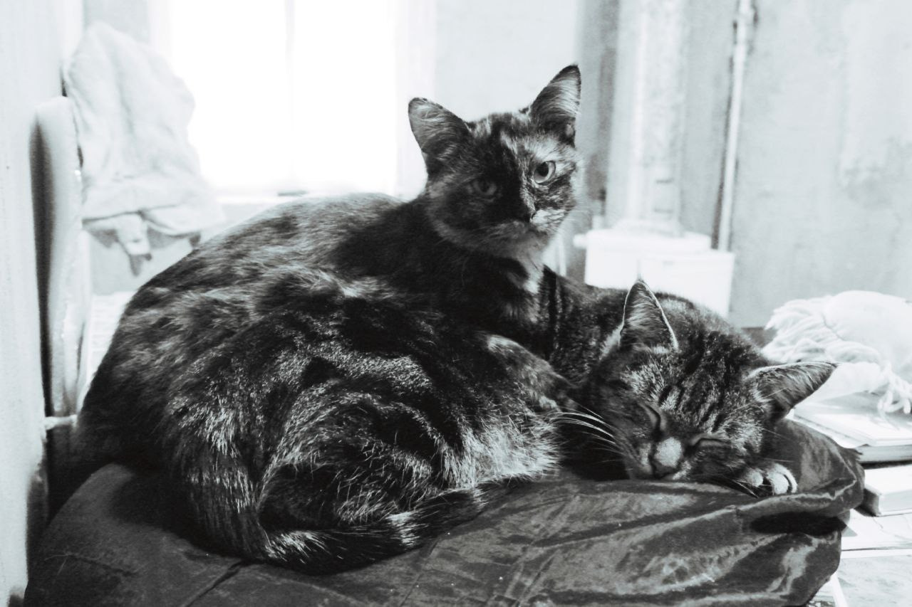 Белгород—Валуйки. Фотограф в Санкт-Петербурге и Нижнем Новгороде Яна Титова