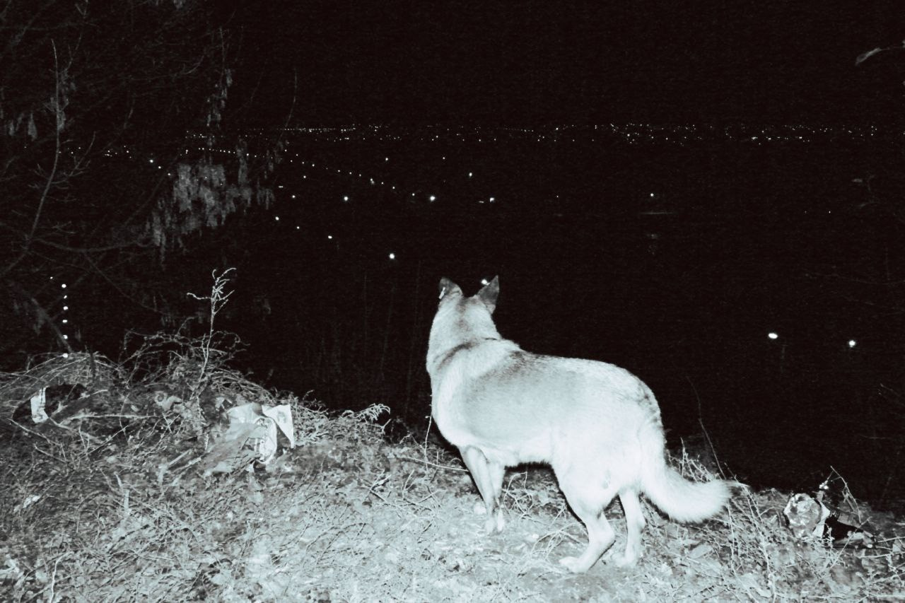 Белгород—Валуйки. Фотограф в Санкт-Петербурге и Нижнем Новгороде Яна Титова
