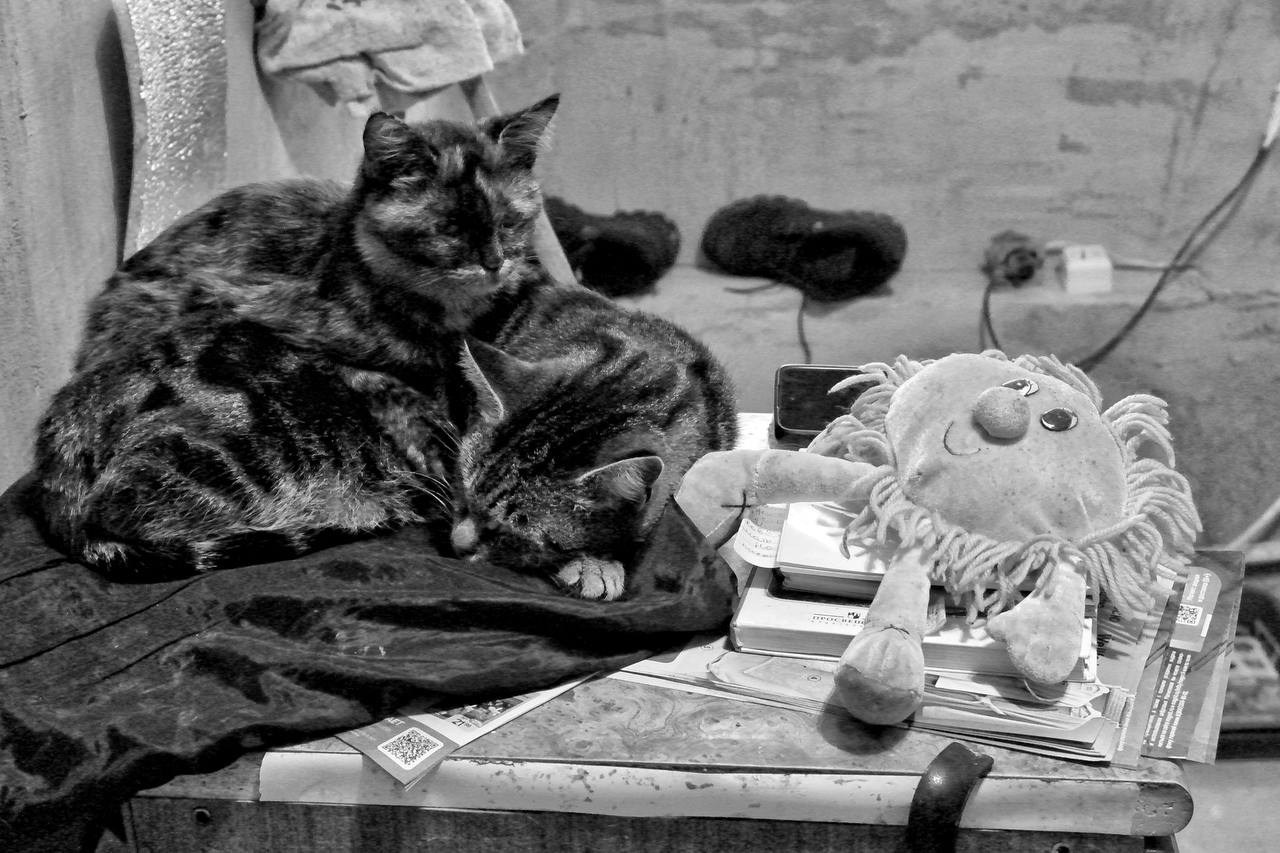 Белгород—Валуйки. Фотограф в Санкт-Петербурге и Нижнем Новгороде Яна Титова