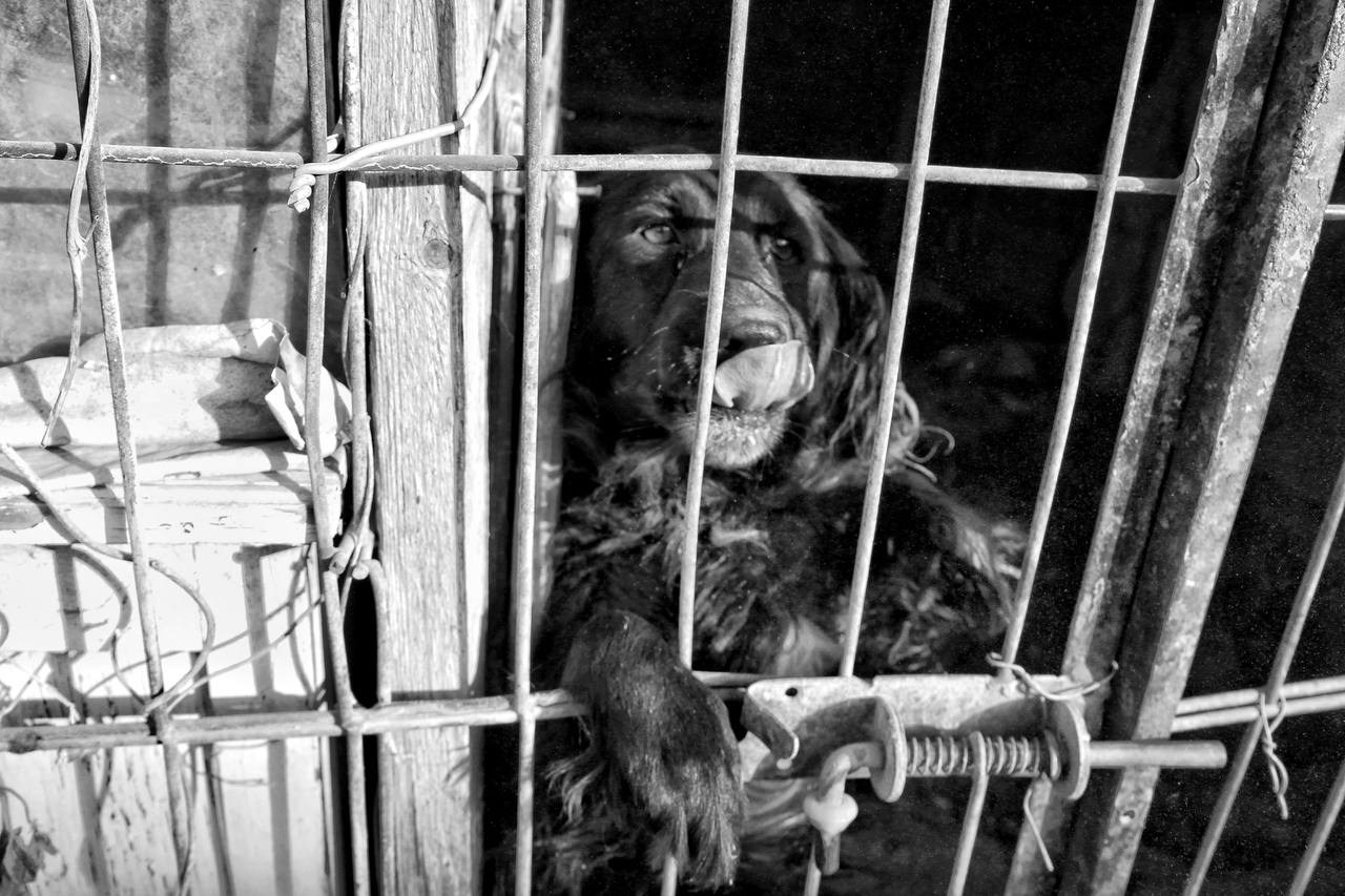 Белгород—Валуйки. Фотограф в Санкт-Петербурге и Нижнем Новгороде Яна Титова