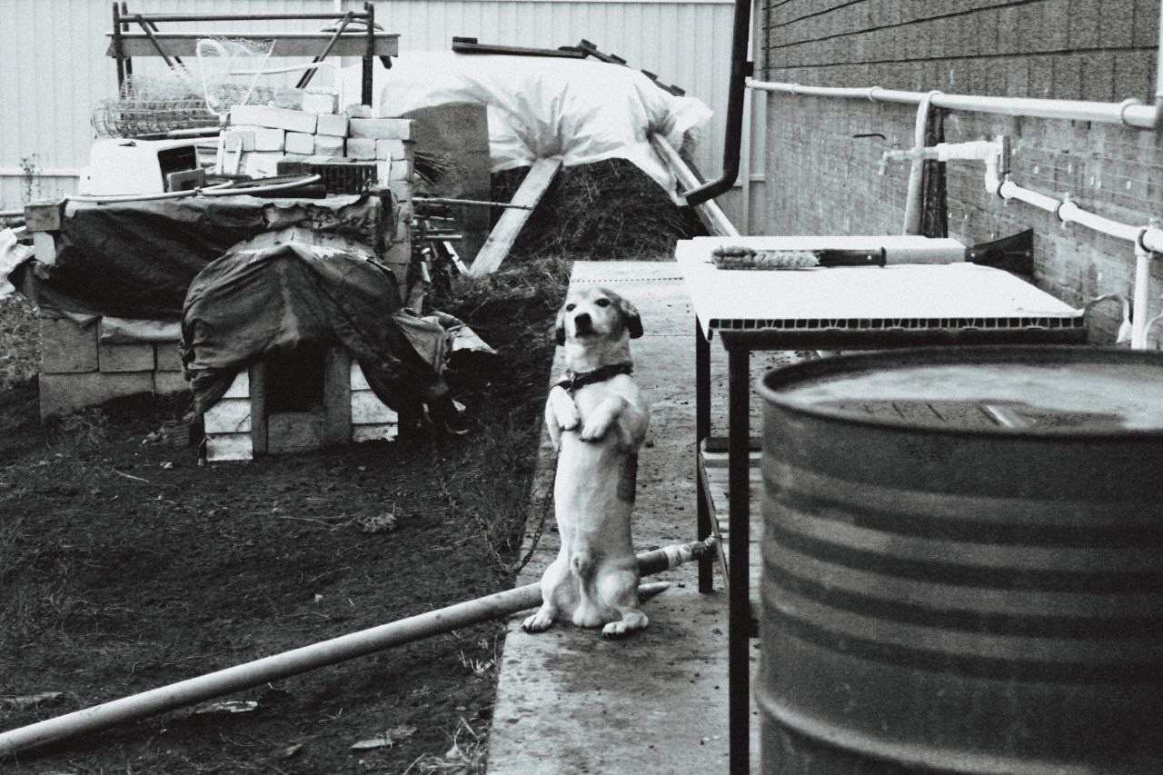 Белгород—Валуйки. Фотограф в Санкт-Петербурге и Нижнем Новгороде Яна Титова
