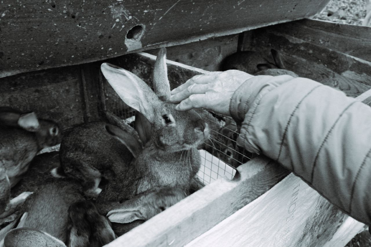 Белгород—Валуйки. Фотограф в Санкт-Петербурге и Нижнем Новгороде Яна Титова