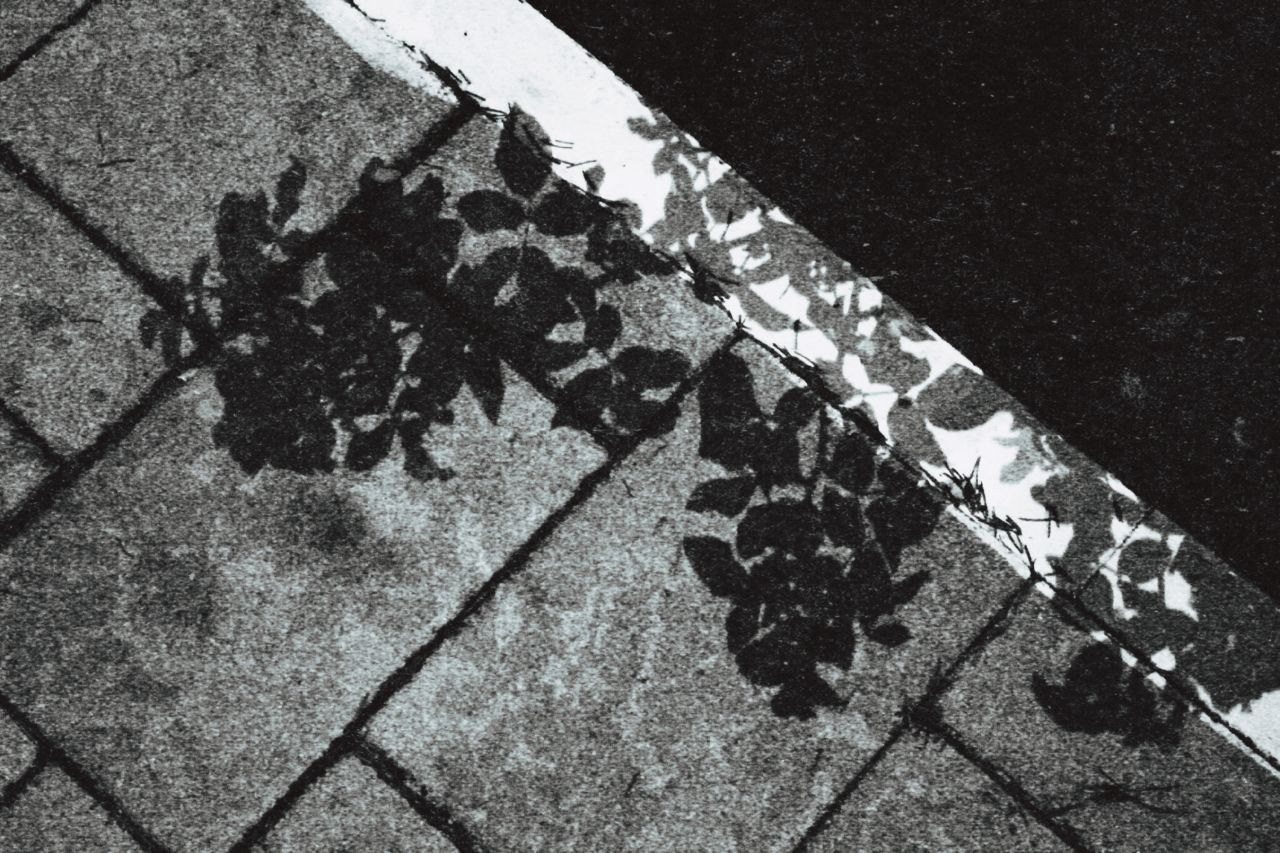 Белгород—Валуйки. Фотограф в Санкт-Петербурге и Нижнем Новгороде Яна Титова