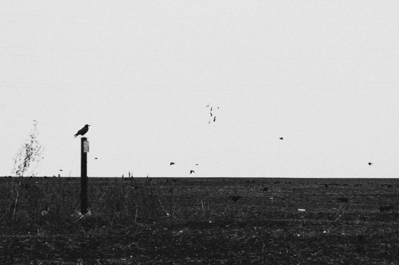 Белгород—Валуйки. Фотограф в Санкт-Петербурге и Нижнем Новгороде Яна Титова