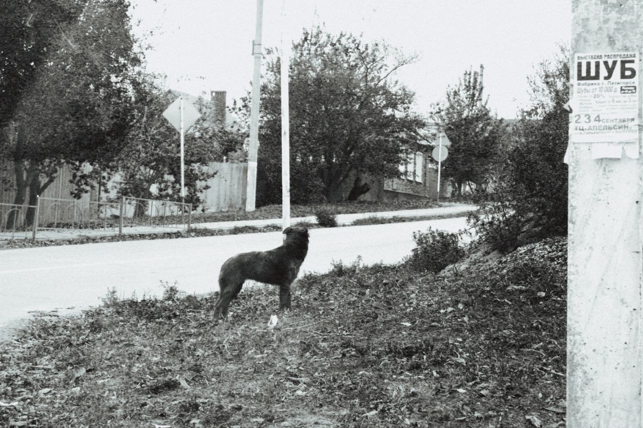 Белгород—Валуйки. Фотограф в Санкт-Петербурге и Нижнем Новгороде Яна Титова