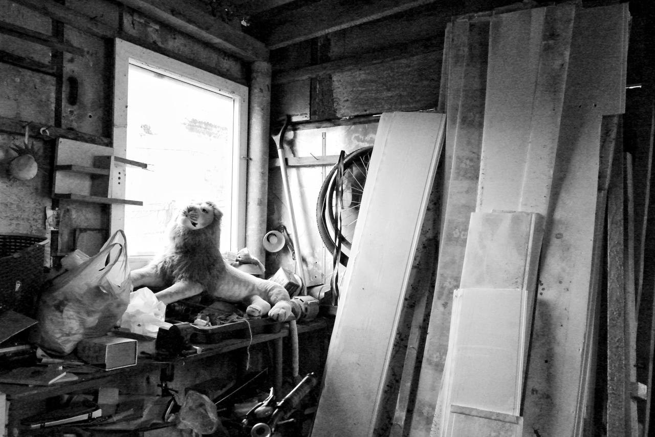 Белгород—Валуйки. Фотограф в Санкт-Петербурге и Нижнем Новгороде Яна Титова