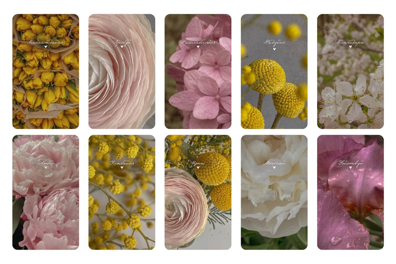 Заставки в подарок. Фото и видео на роды Москва Ирина Жарковская | BIRTH.DAY PHOTO