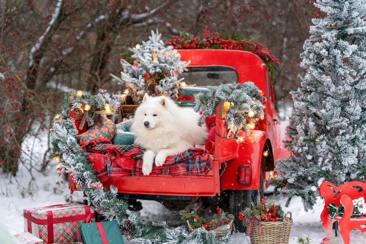Новогодние локации 2024. Семьи, дети, сады, школы. Фотограф Первенцева Елена. Москва