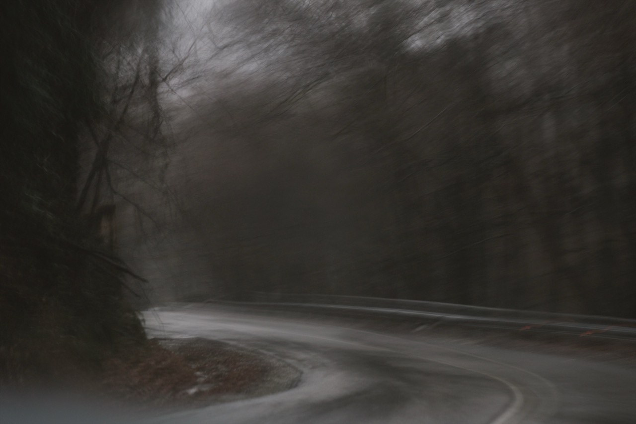 THE PATH. Alyona Rubanova — Visual artist