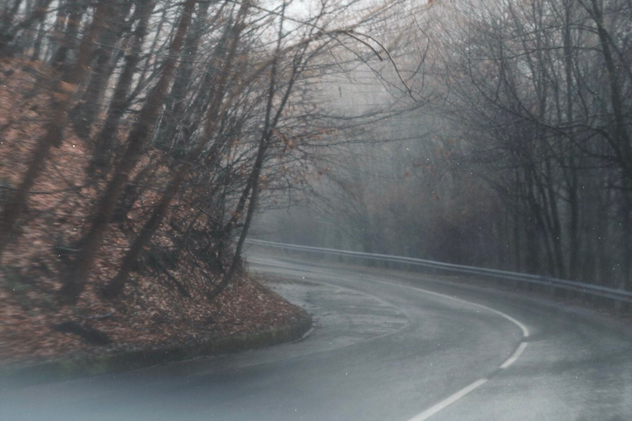 THE PATH. Alyona Rubanova — Visual artist