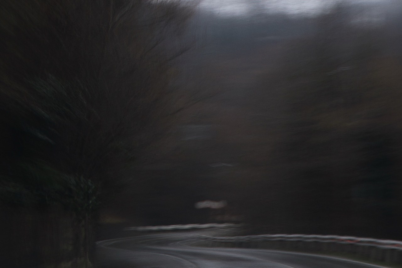 THE PATH. Alyona Rubanova — Visual artist