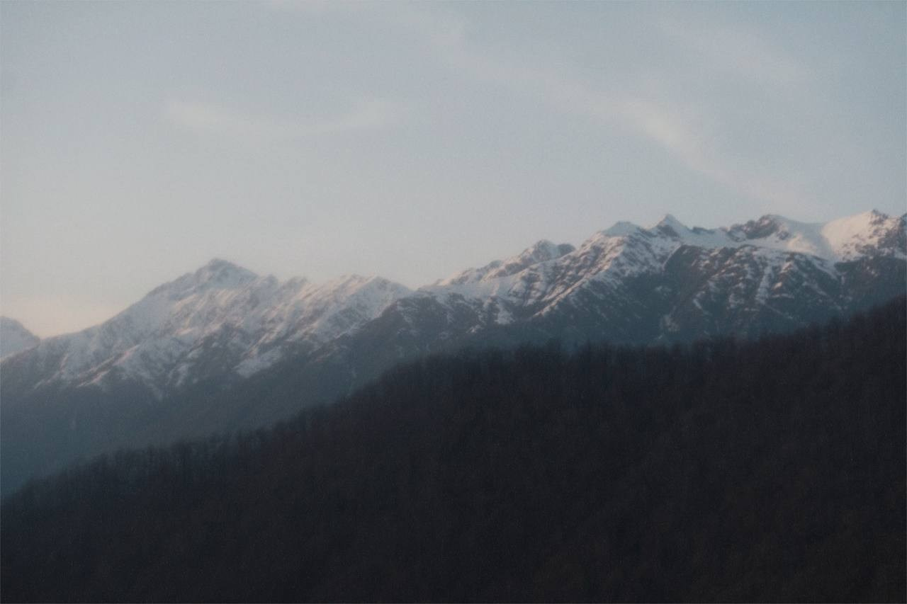 LINES. Alyona Rubanova — Visual artist