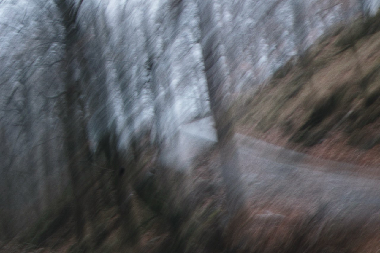 THE PATH. Alyona Rubanova — Visual artist