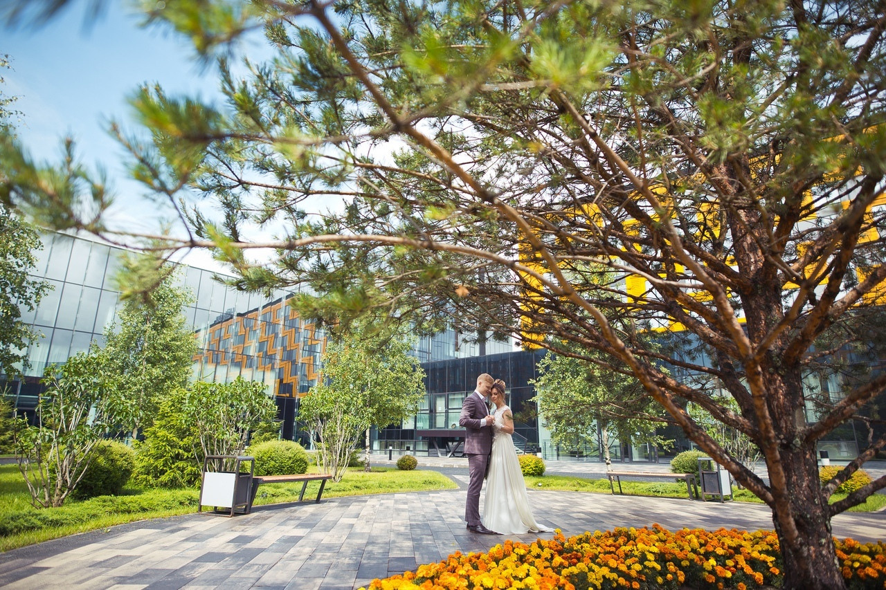 локации для свадебной фотосъемки фотосессии