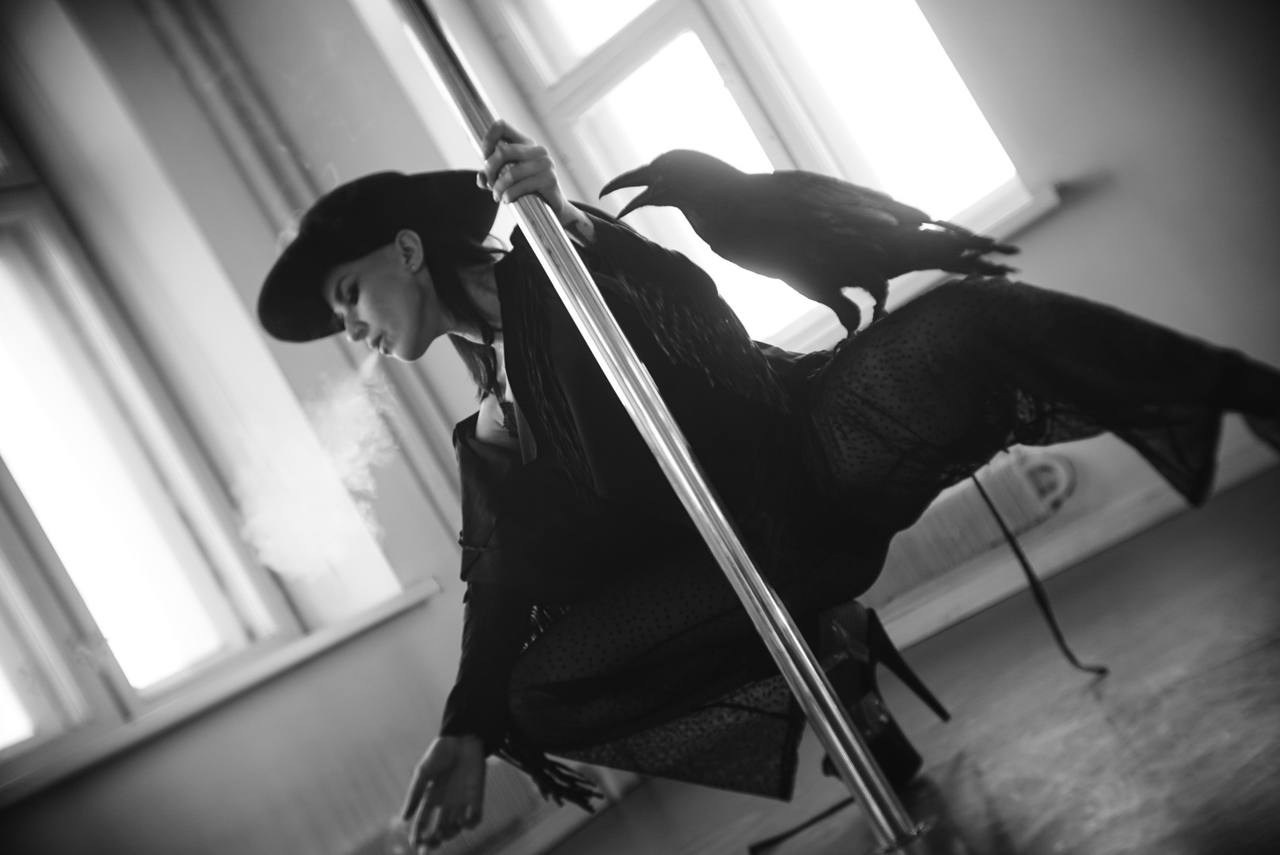 Фото и видеосъемка с черным вороном в Москве