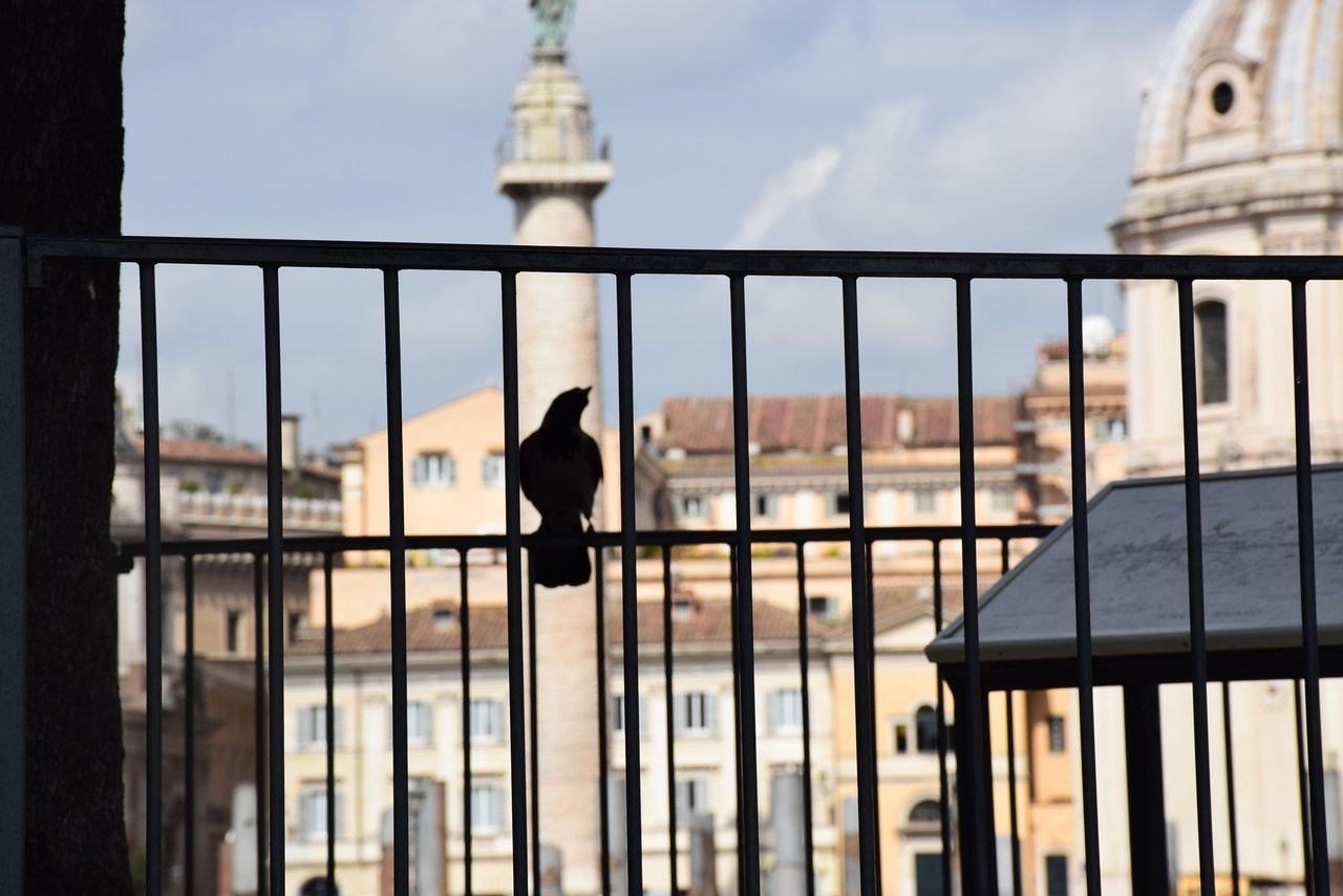 La Dolce Vita. Интервью с Антонелло Толве. Мира (жы!) и Наваждения