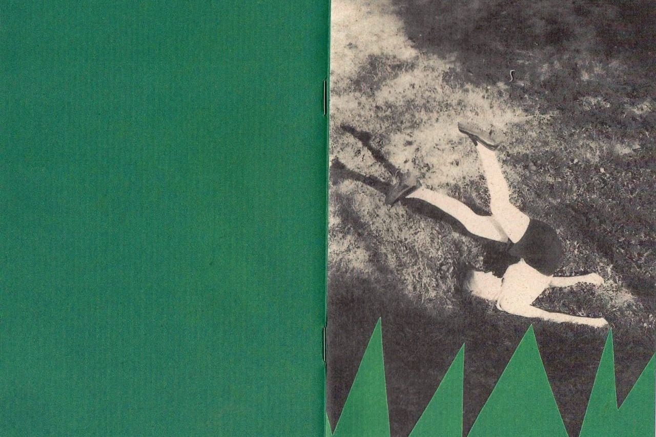 Воркшоп по зинам. Самоорганизация Низина