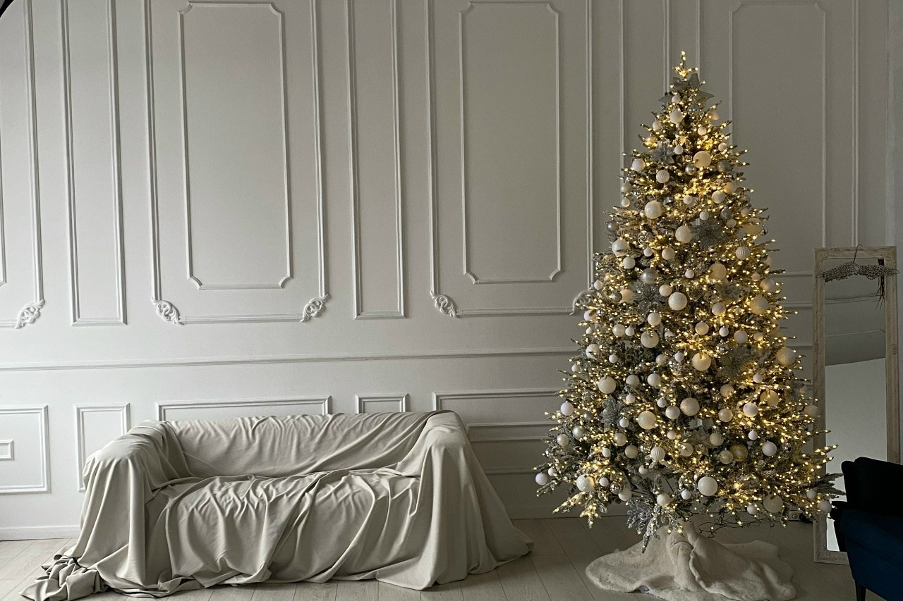 Залы для фотосессии. Профессиональная фотостудия в Санкт-Петербурге «Точка»