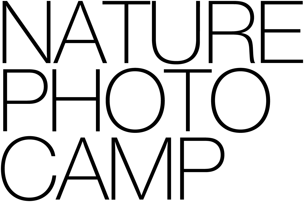 Фотокэмп в Карелии. Фотограф Константин Шамин