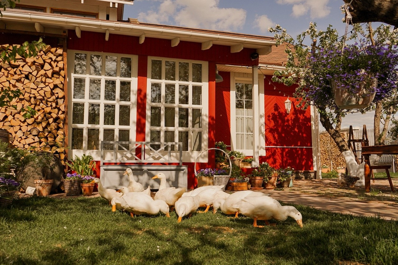 Семейный и детский фотограф в СПБ, Пушкин, Колпино, Славянка, Тосно