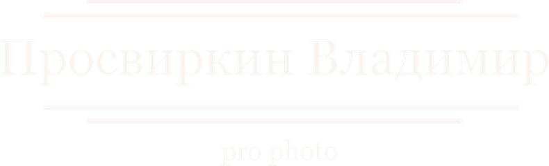 prosvirkin.ru