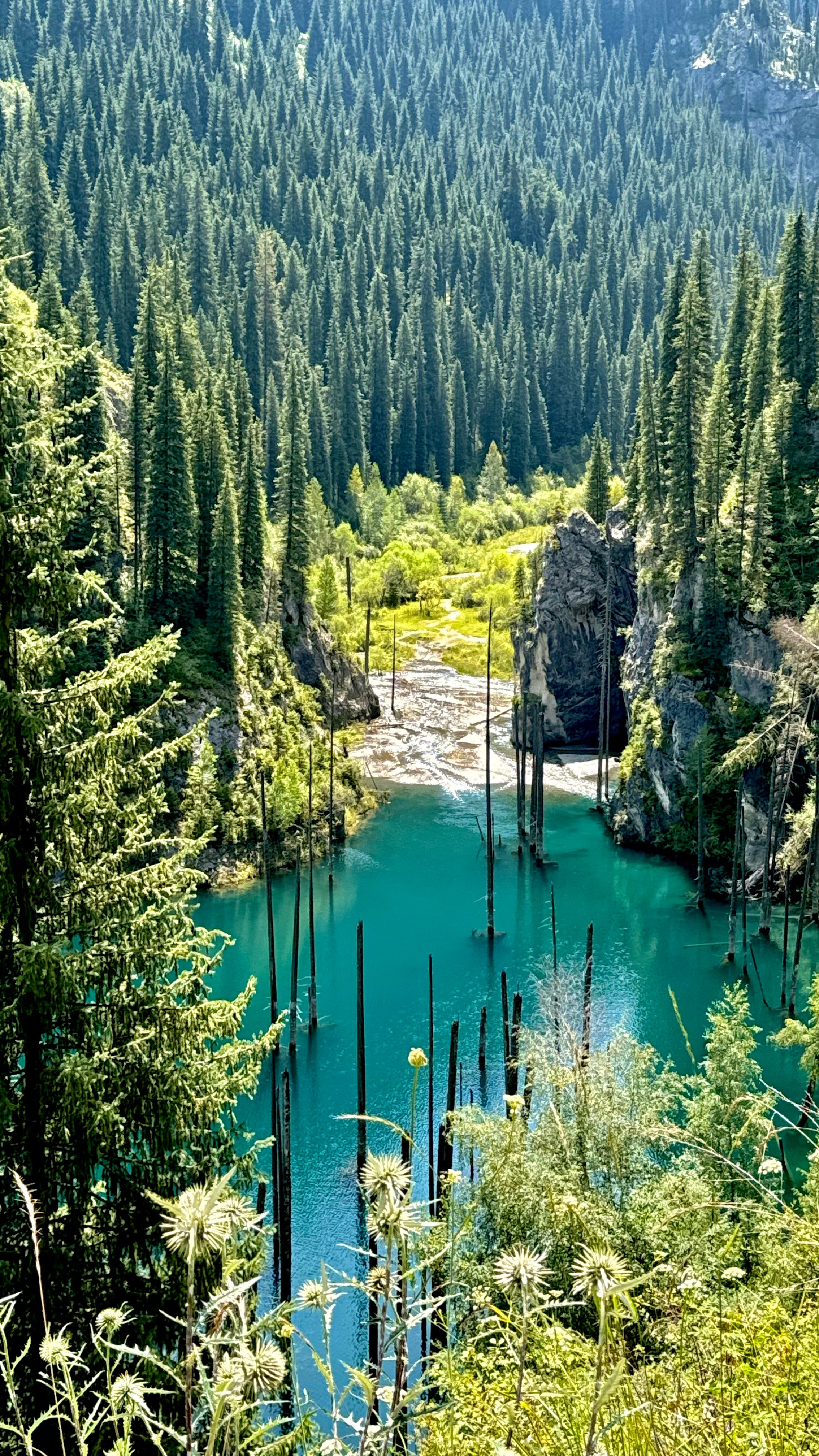 Фото озера Каинды:Озеро Каинды — затопленный лес, торчащие ели, экотакси, конная прогулка, мистическое озеро, достопримечательности Казахстана