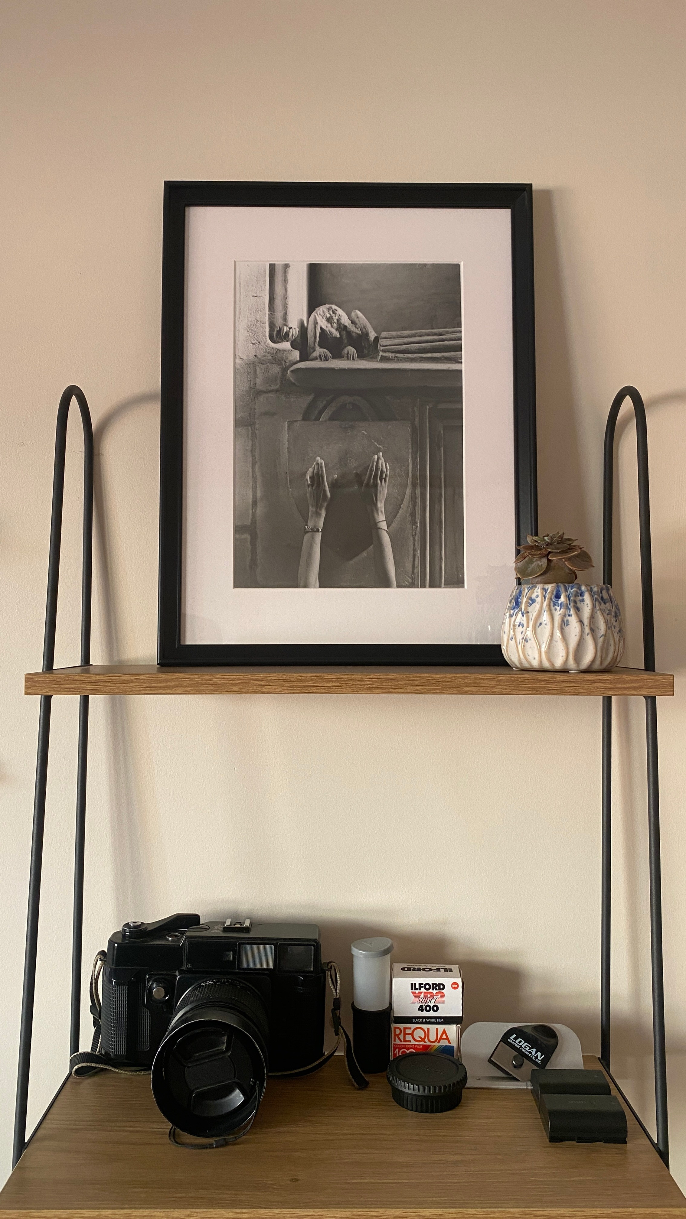 Prints. Katya Zimina, film photographer