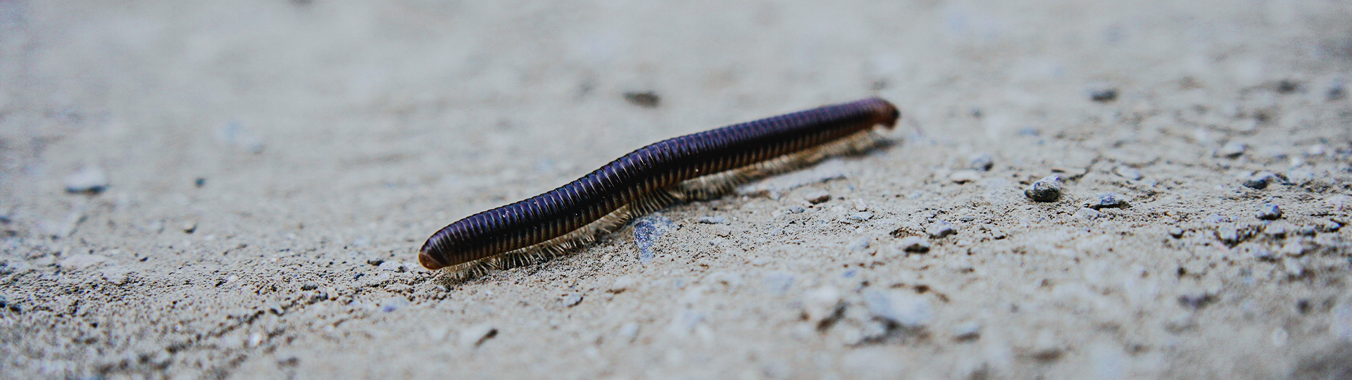 Крым 2025: Глава вторая. Фотограф из Москвы — DASHA NOVA | Авторская фотография в разных жанрах