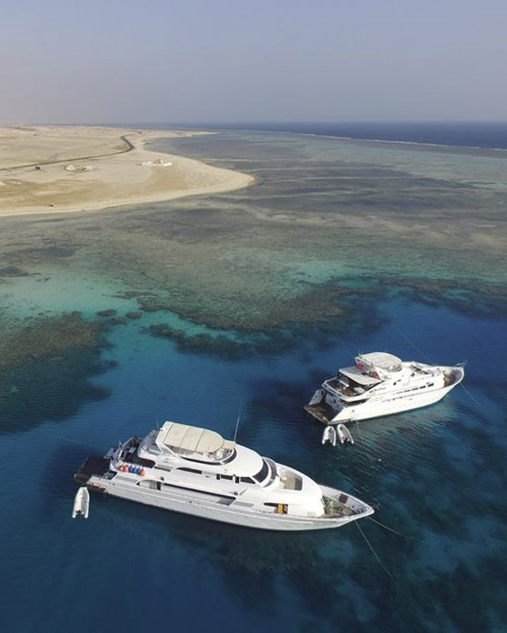 Египет. Дайвинг-клуб «Капитан Морган», Беларусь