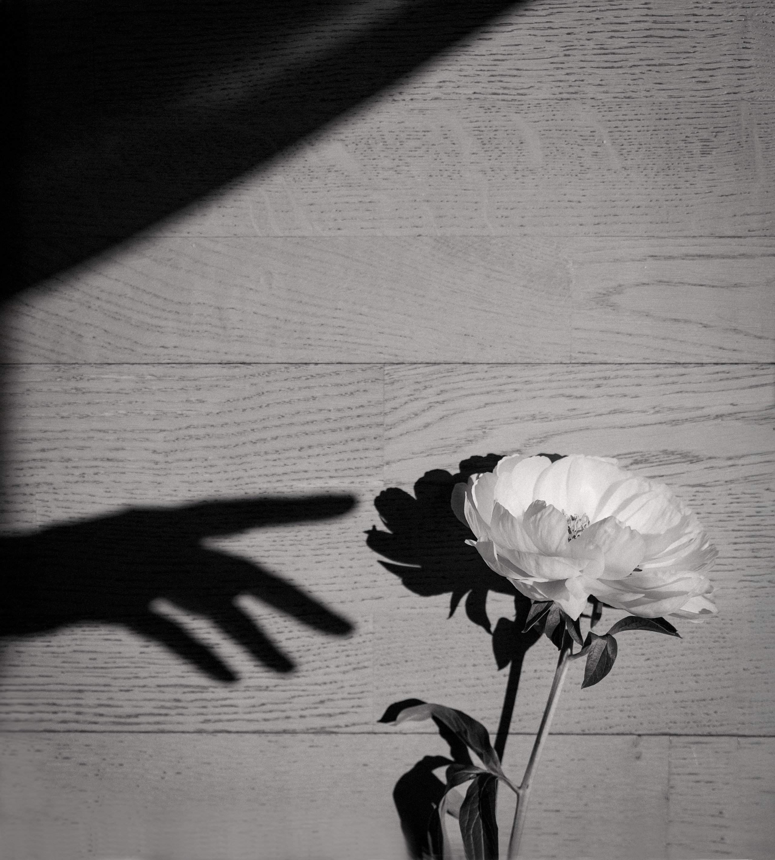 Юна Скворцова. ARTEXPOPHOTO