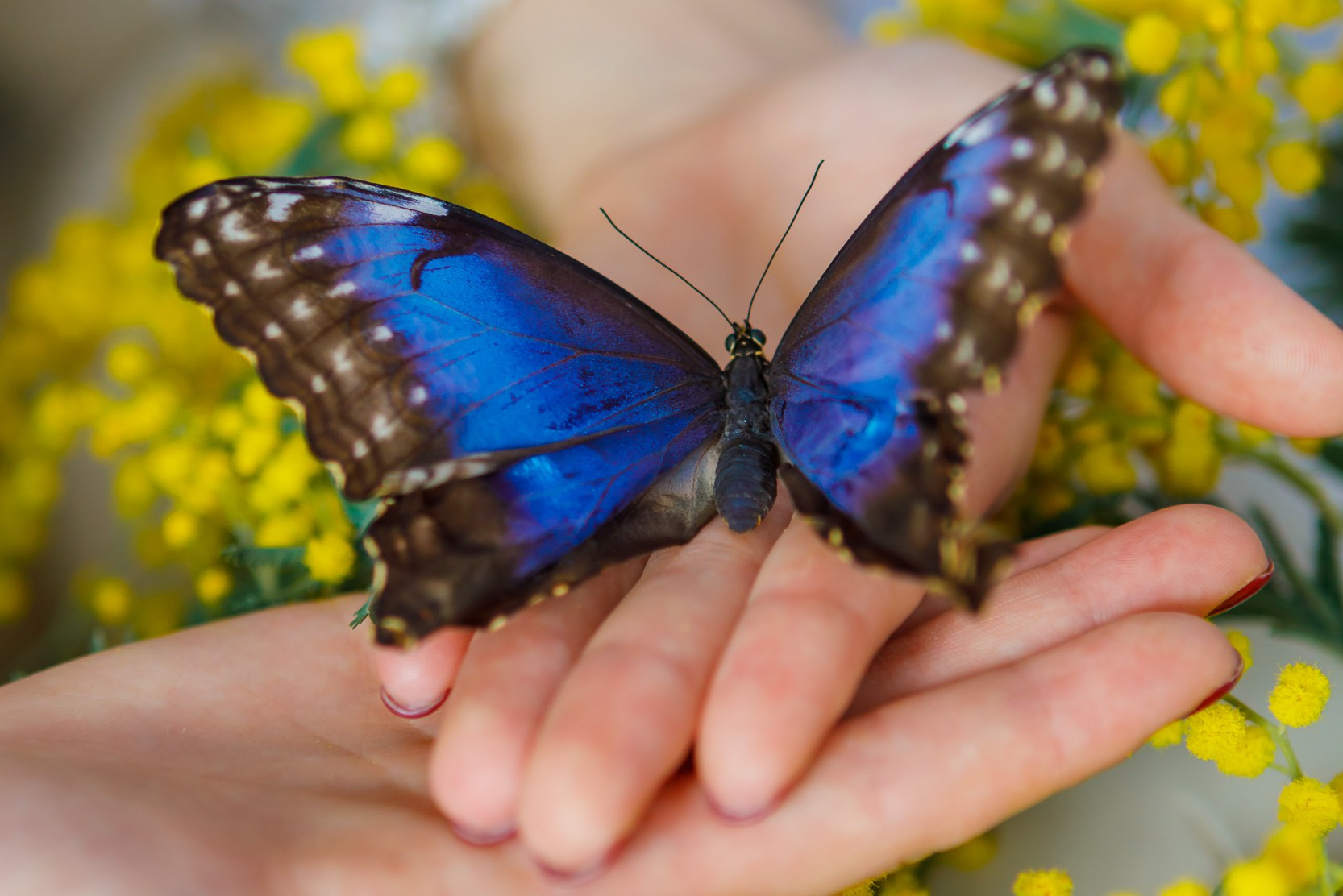 Услуги. Фотограф в Барнауле Юлия Бобровских