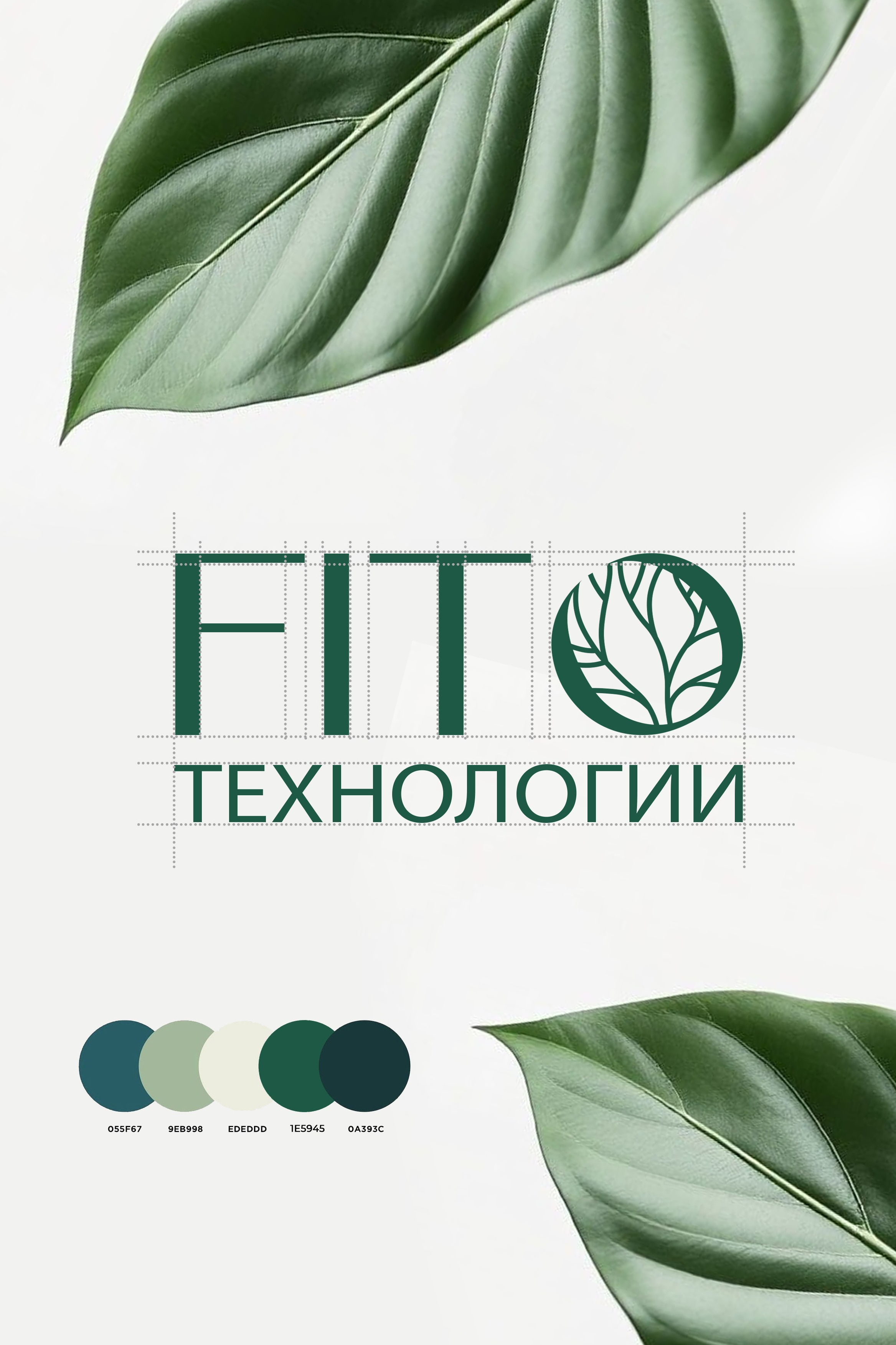 Фито технологии брендинг. Графический дизайн и ретушь фотографий, Москва