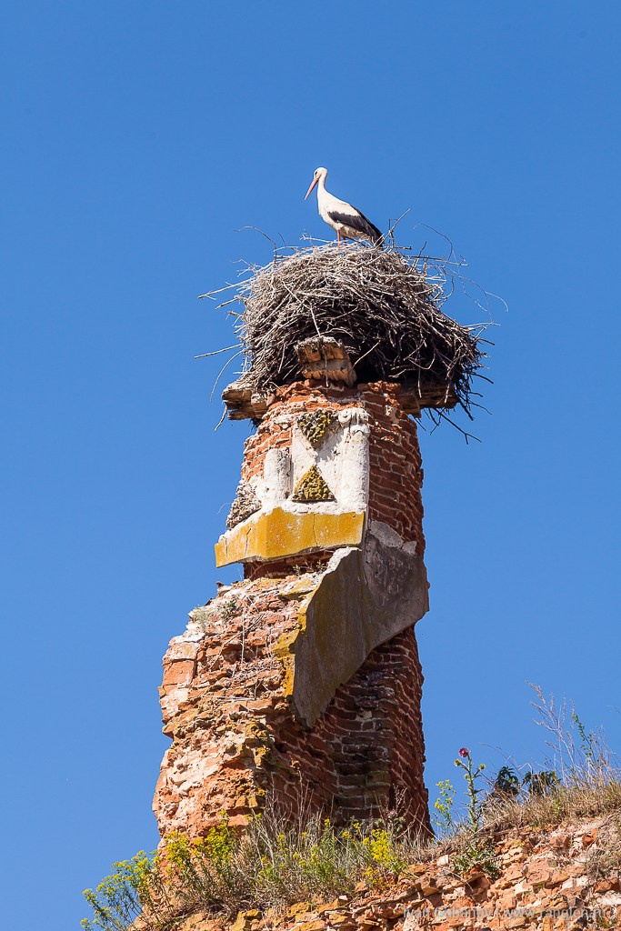 Брянская область. Климово. Фотограф Иван Губанов
