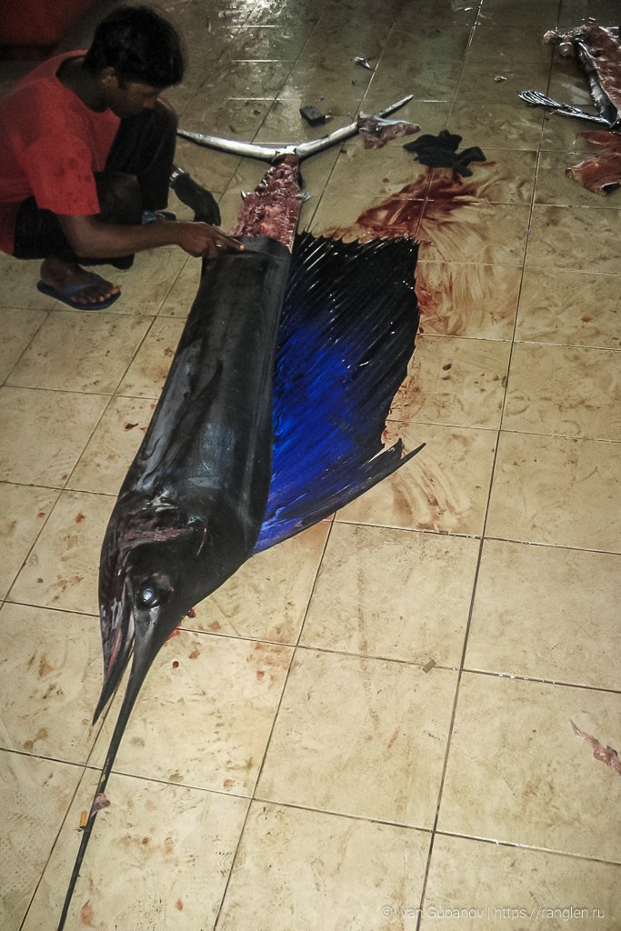 Путешествие на Мальдивские острова. Фотограф Иван Губанов