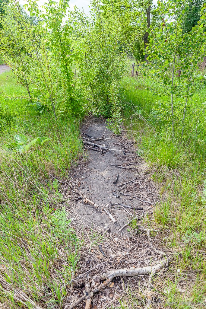 Брянская область. Климово. Фотограф Иван Губанов