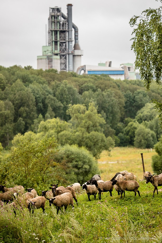 Путешествие по Тульской области. Фотограф Иван Губанов