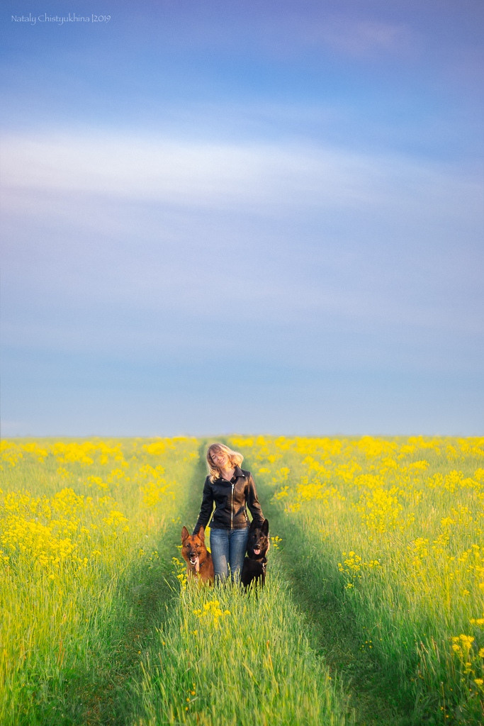 Дрессировка собак. Фотограф-анималист Наталия Чистюхина в г. Сосновый Бор и ЛО