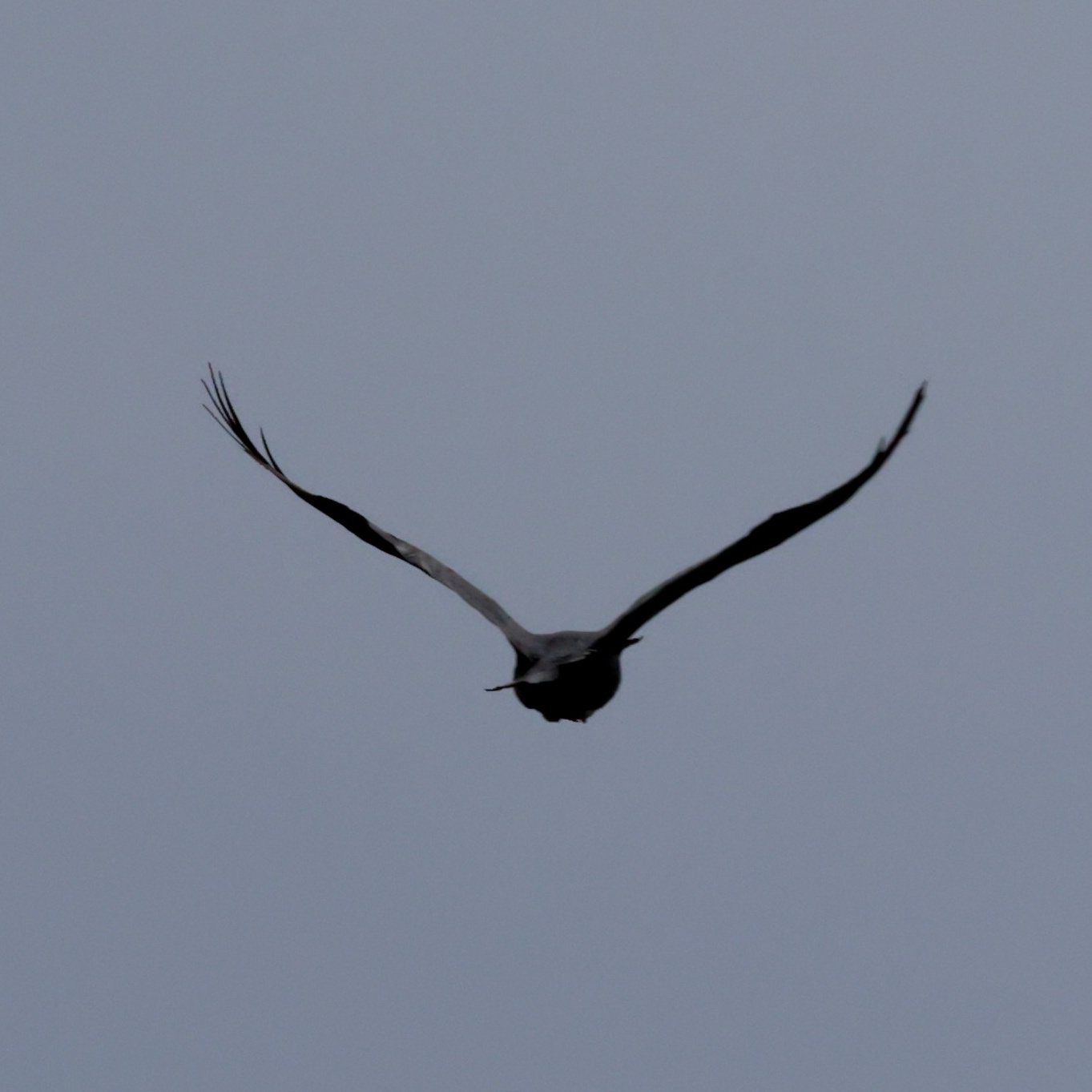 Выходные 7–8 июня