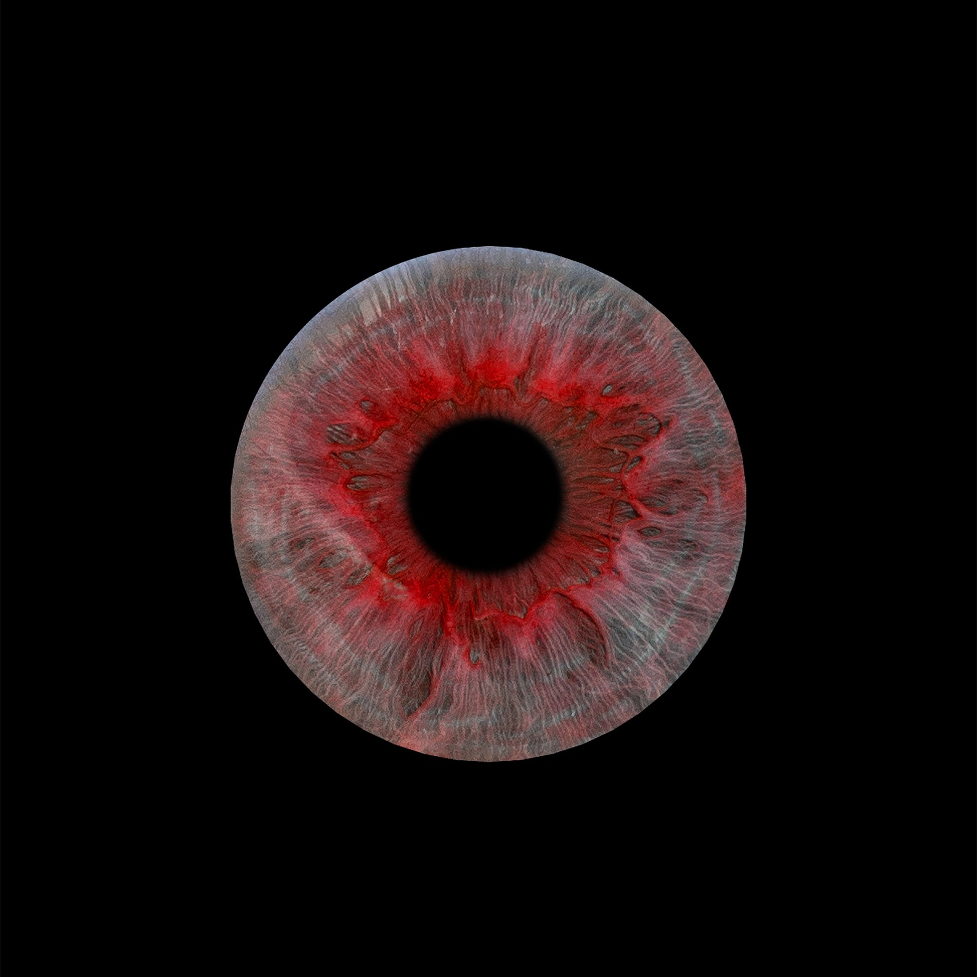 Мои картины. Художник интерьерных картин на заказ в Москве Nadi_Korchagina