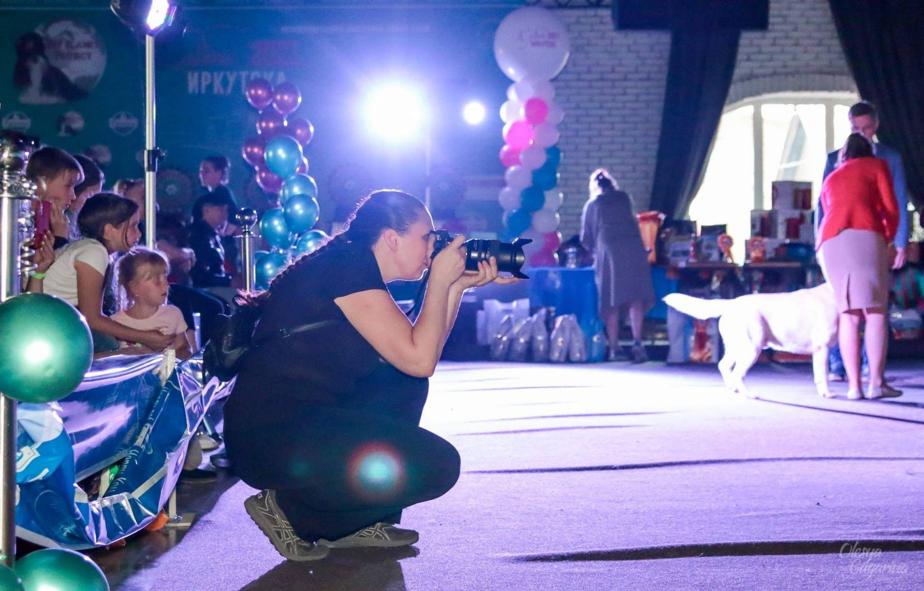 ✅ О СЕБЕ. Фотограф анималист Елена Галдина г. Красноярск