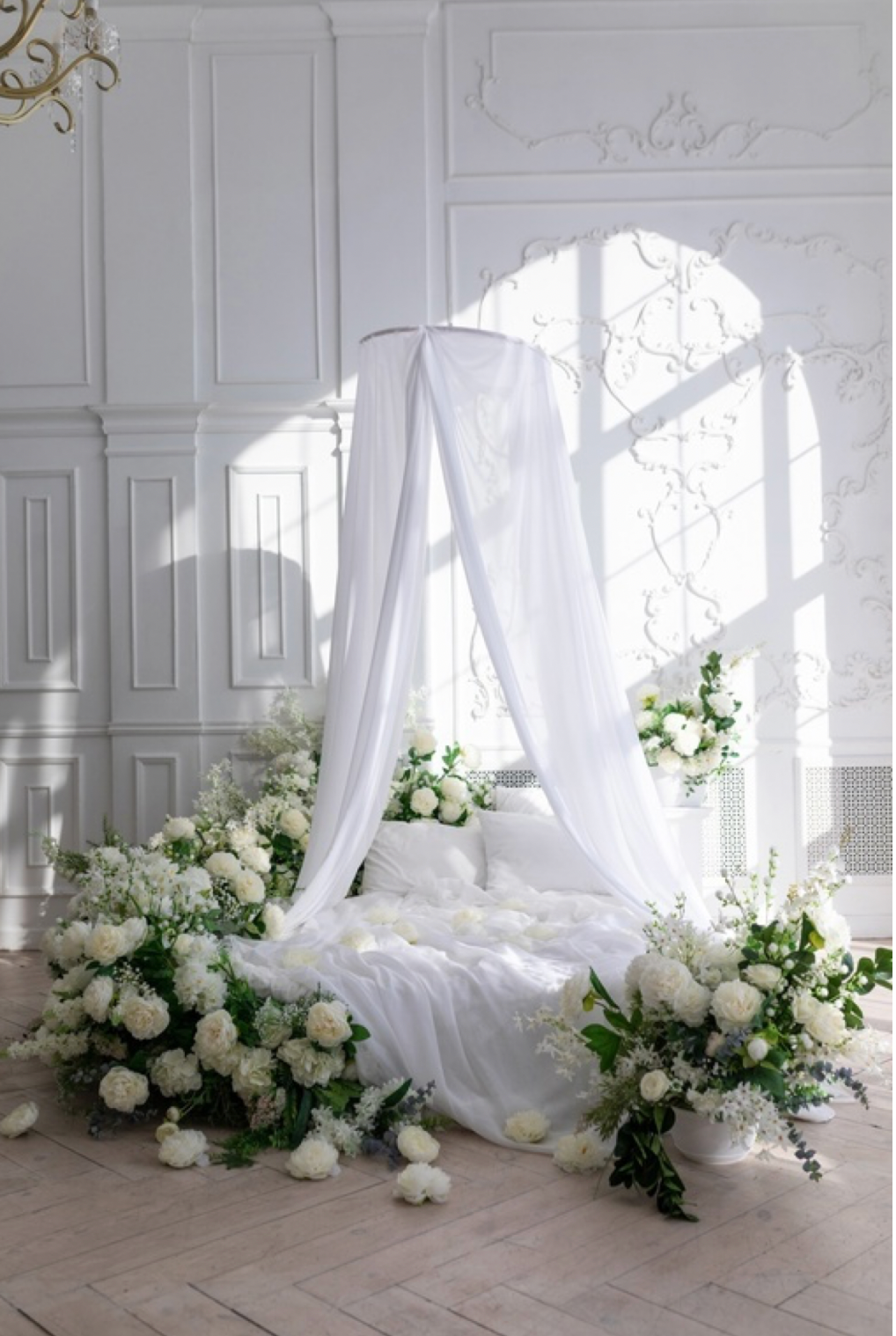 Подборка Студий