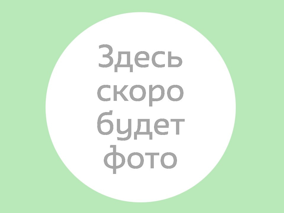 Оригиналы работ в продаже. Художник Александр Петрунин