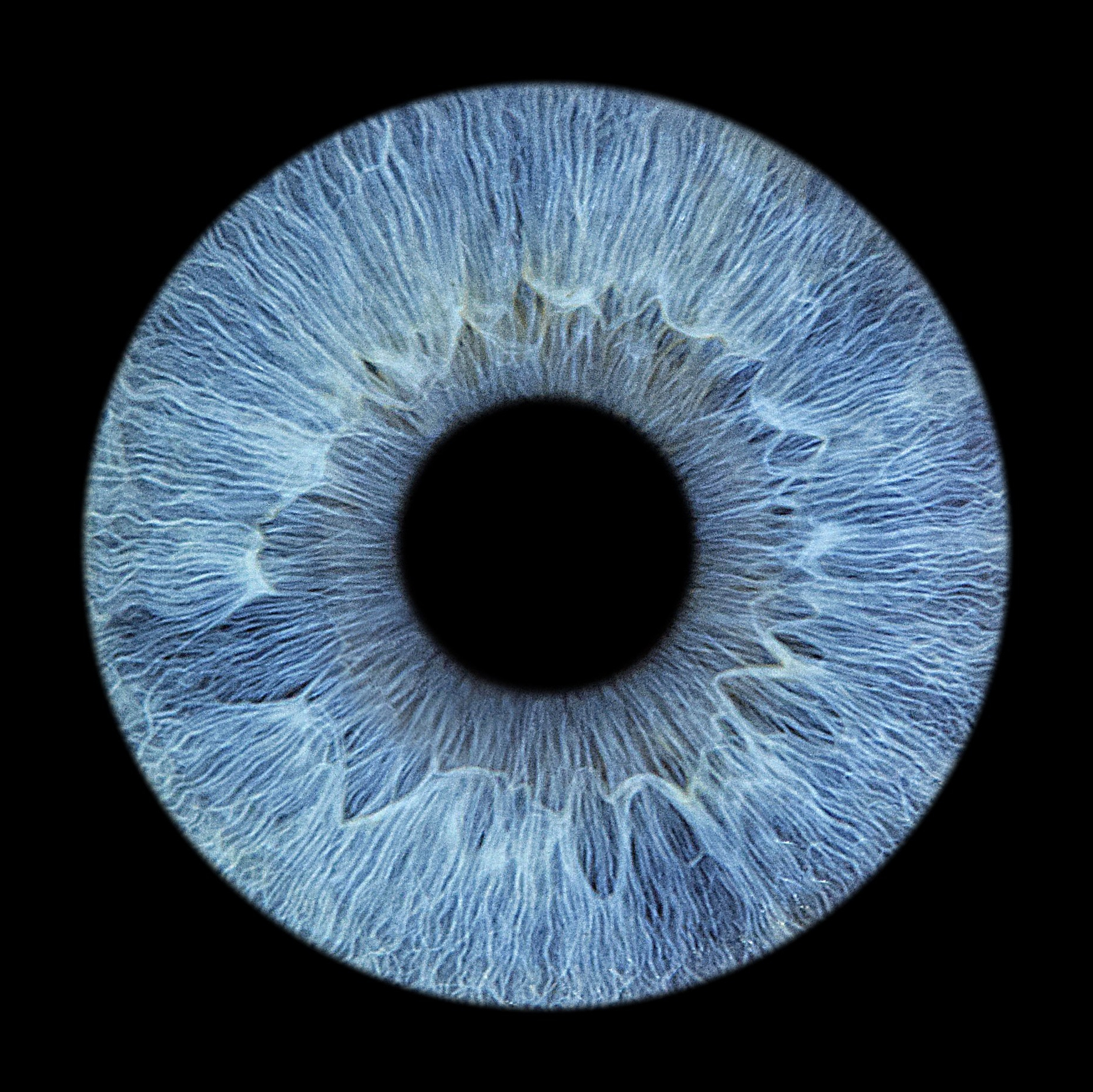 Контакты. EYEtob | Фотография радужной оболочки | Тобольск