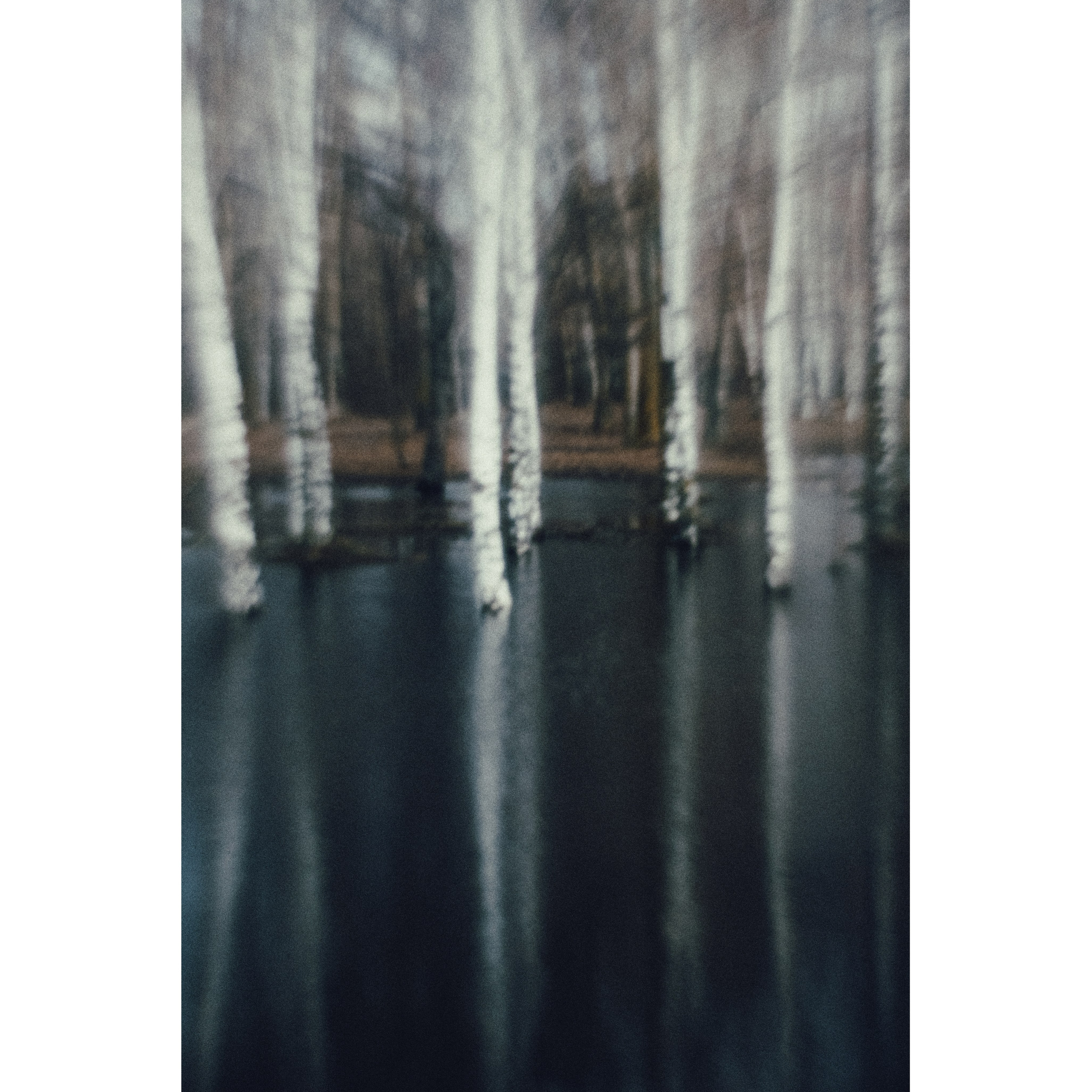 Diaries. Andrew Sozonov visual artist