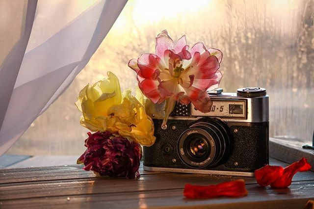 Контакты. Главная